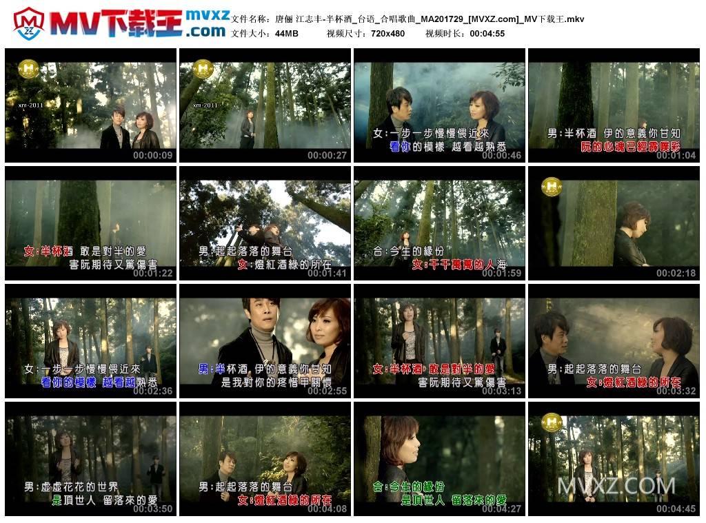 唐俪 江志丰-半杯酒_台语_合唱歌曲_MA201729